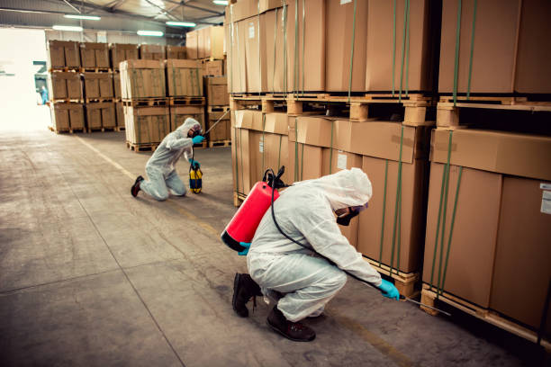 Best Pest Inspection Near Me  in Fort Benton, MT