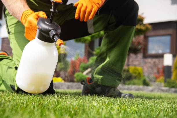 Best Pest Prevention Services  in Fort Benton, MT