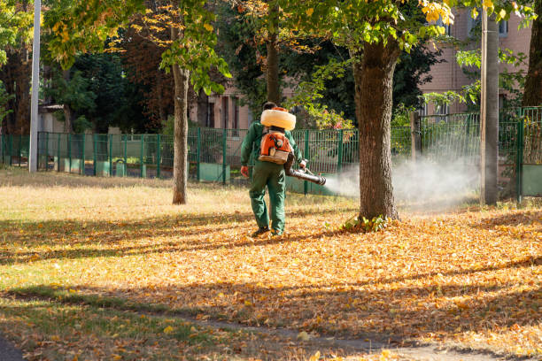 Best Insect Control  in Fort Benton, MT